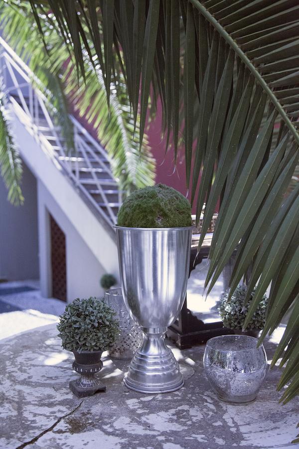 La Villa Nova Montpellier Bagian luar foto